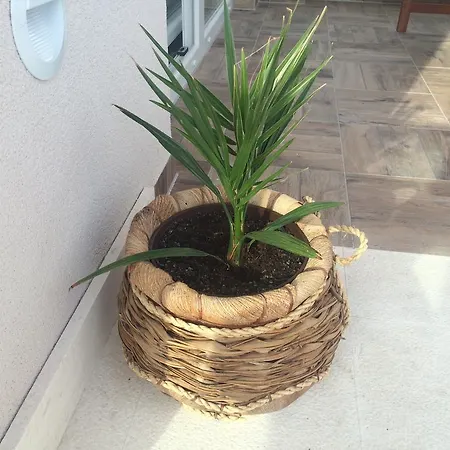 Apartamento Vinko Rogoznica (Sibenik-Knin)